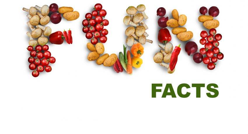 food facts, facts about food, interesting food facts, fun facts about foods