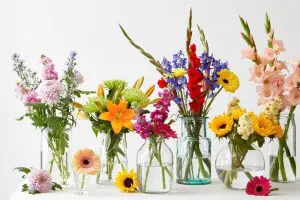 Most Beautiful/Pretty Flowers From Around The World