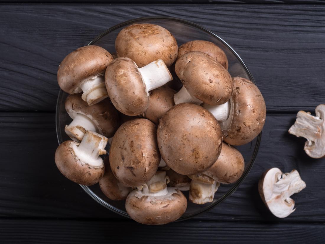 Fun And Interesting Facts About Mushrooms