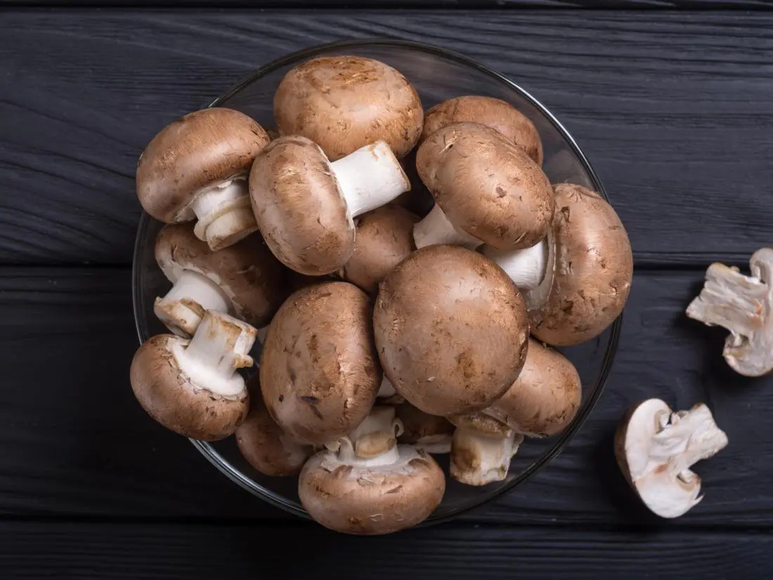 mushroom facts, facts of shrooms, facts about mushrooms, fun facts about mushrooms, fun mushroom facts, fun facts on mushrooms,