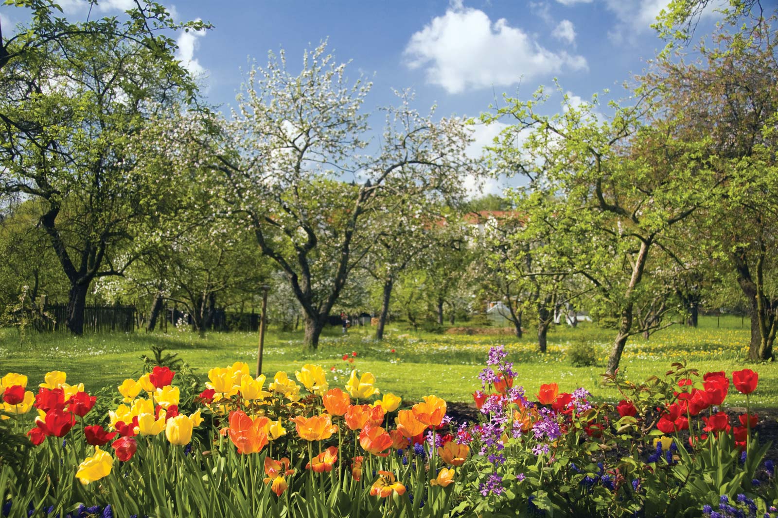 10 Fun Facts About Spring