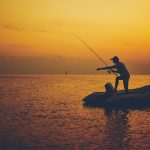 fun facts about fishing