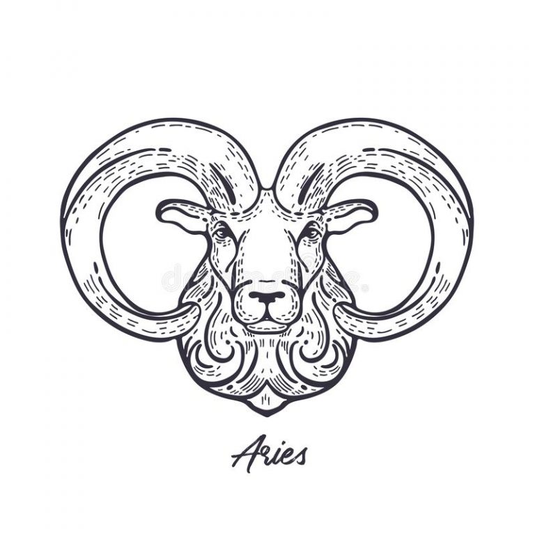 fun-facts-about-aries-funfactoday