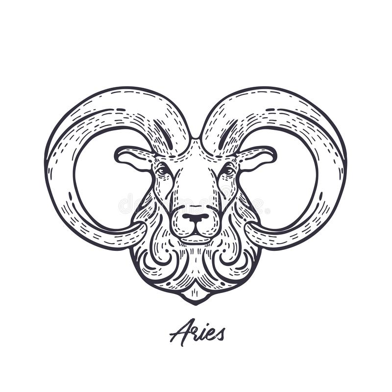 Aries facts, facts about aries, facts aries, facts about aries woman, facts about an aries woman, aries facts female, fun facts about aries, aries zodiac sign facts, facts about aries man, things about aries,