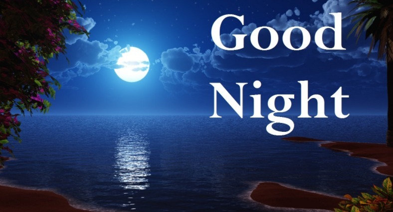 special good night quotes and messages for your loved ones
