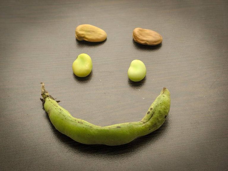 Bean Puns And Jokes That Would Make You Smile